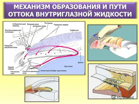 Механизм образования аэродинамического пути