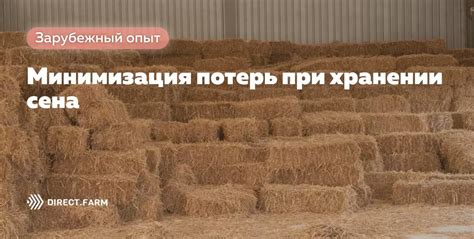 Минимизация потерь сена благодаря правильному оформлению ясельных стенок