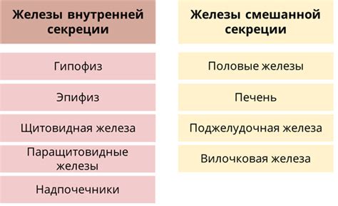 Нарушение баланса гормонов и его воздействие на состояние кожи