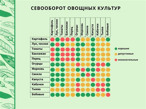 Настройка режимов сушки для различных сортов овощей