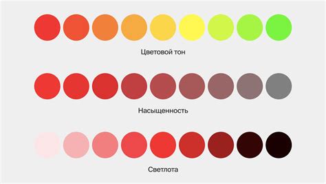 Насыщенность цвета: осуществление обратного восприятия в рамках видеомонтажного инструмента