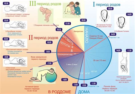 Начало схваток: предвестники перед появлением ребенка