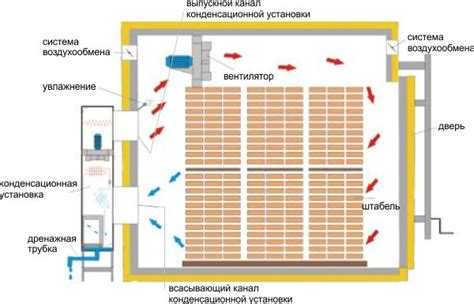 Необходимость и основные принципы работы сушильной камеры для древесины