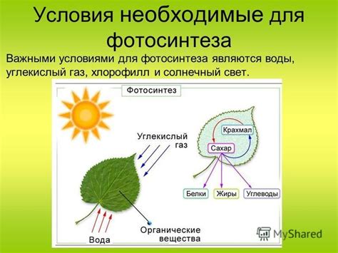 Необходимые условия для активации функции ВТ на смартфоне