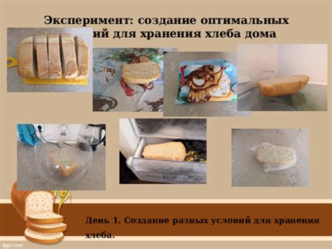 Обеспечение оптимальных условий для хранения кумквата