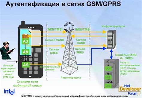 Обзор структуры устройств повышения сигнала связи в сотовых сетях