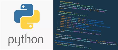 Обзор языка программирования Python