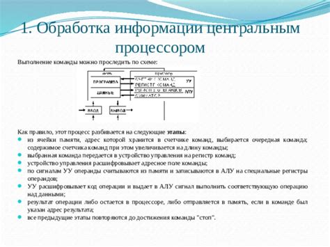 Обработка информации в процессоре: механизмы работы и основные этапы