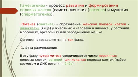 Образование привлекательного вида опунции путем подрезки и формирования