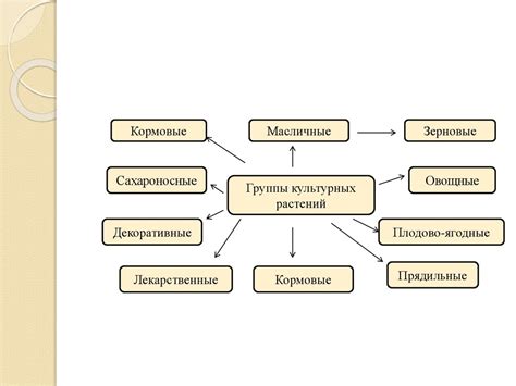 Общая схема координации различных культурных сред
