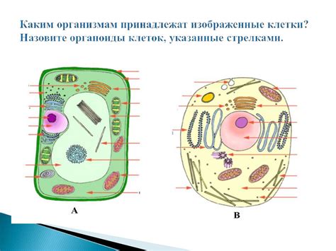 Описание основных компонентов внутри панели управления