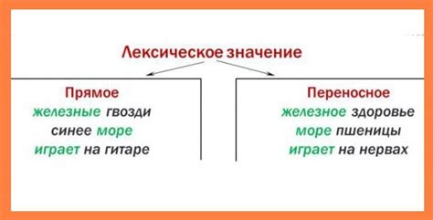 Определение и значение слова "опеки"