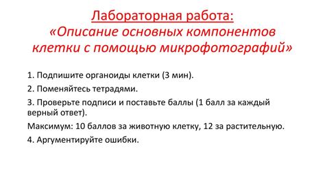 Определение необходимых компонентов и их приобретение в магазине