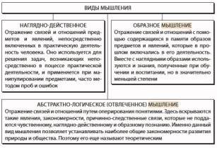 Определение понятия "содержание" и его особенности