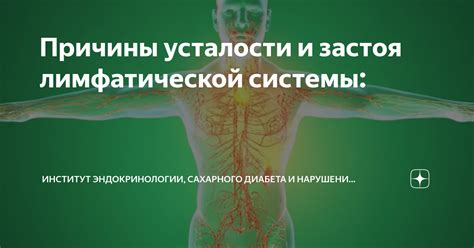 Определение работоспособности лимфатической системы и выявление возможных нарушений