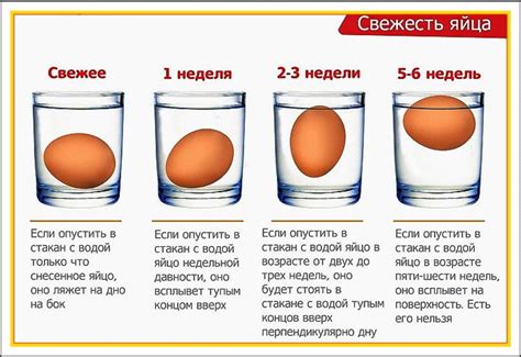 Определение свежести яйца: как проверить наличие вздутия