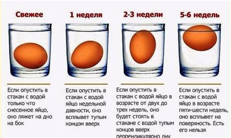 Определение свежести яйца с помощью метода плавучести