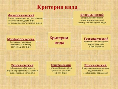 Определение структуры и внешнего вида навигационного элемента