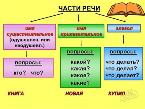 Определение части речи слова "Стадо"