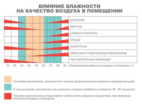 Оптимальная температура и влажность для успешного развития тюльпанов