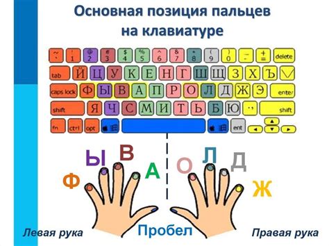 Оптимальное расположение пальцев на клавиатуре: ключ к эффективной печати