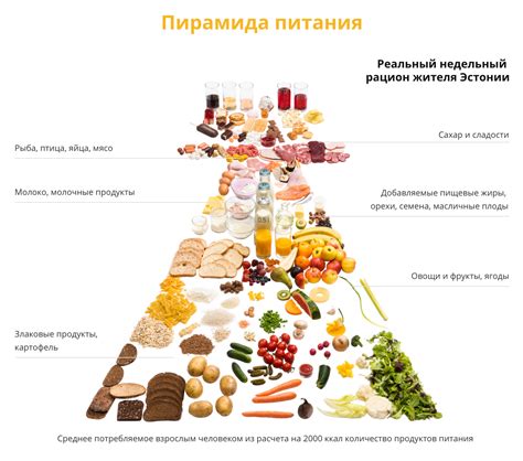 Оптимальный выбор питательных закусок для здорового приема пищи