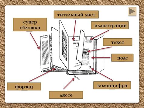 Организация информации и структура генеалогической записной книги