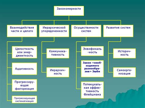 Организация и функционирование ТСН