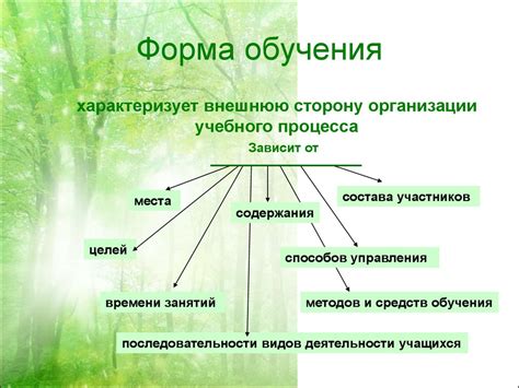 Организация учебного процесса: полезные советы для эффективного обучения