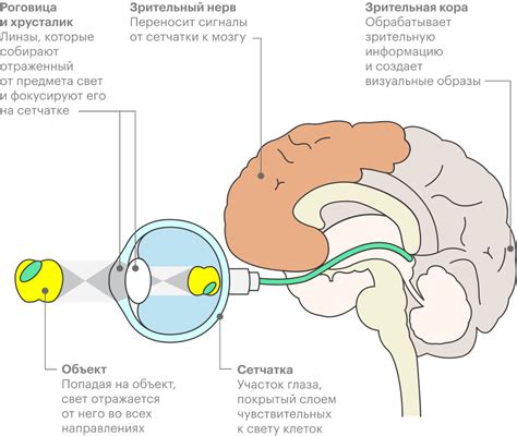 Ориентация по зрительным меткам