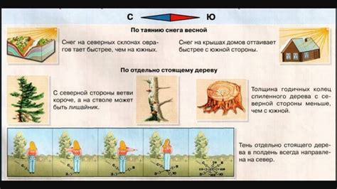 Ориентирование наличнику: полезные рекомендации