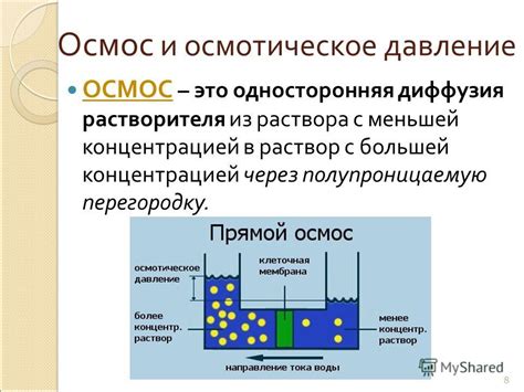 Осмотическое давление и его значимость для достижения устойчивого распределения вещества в растворе