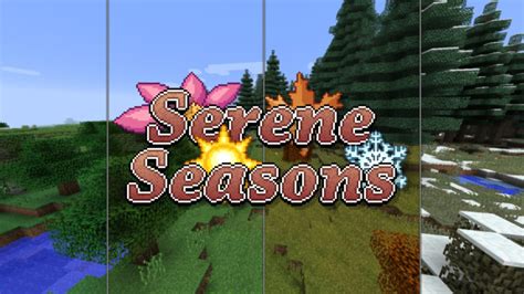 Основная информация о модификации Serene Seasons