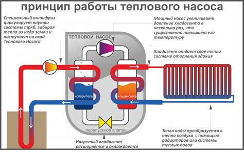 Основные компоненты и принцип функционирования системы насосов для бассейнов