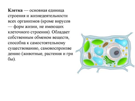 Основные компоненты смеси и их роль в процессе штукатурки стен