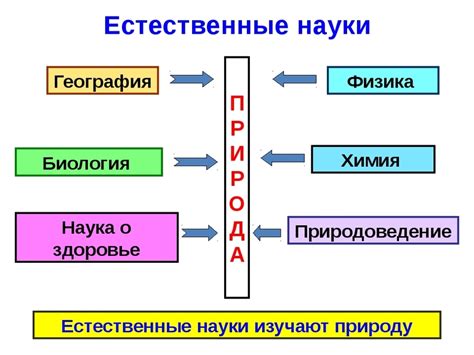 Основные понятия и принципы естественных наук