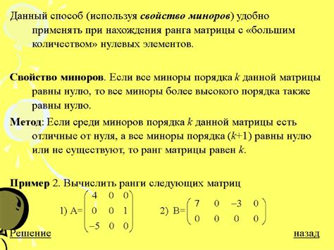 Основные понятия ранга матрицы размерности 2х2