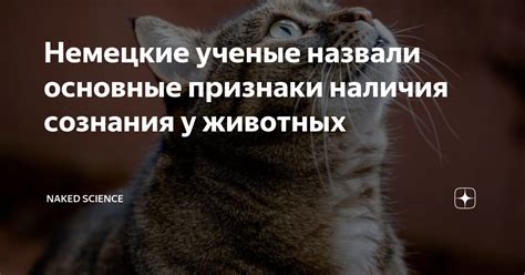 Основные признаки наличия сальника