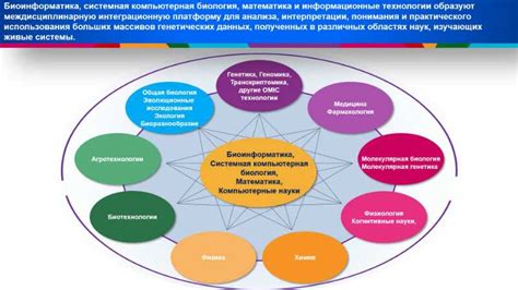 Основные принципы ППХ: глубокое понимание процесса создания веб-сайта