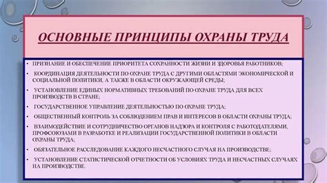 Основные принципы СанПин: основной канон для обеспечения безопасности и здоровья