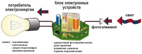 Основные принципы освещения и выбора места для размещения очитка