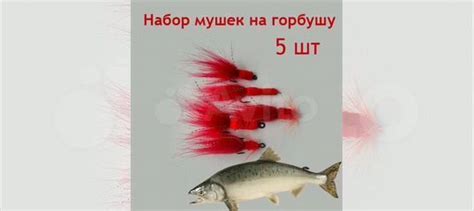 Основные принципы сборки и настройки снастей для ловли горбуши