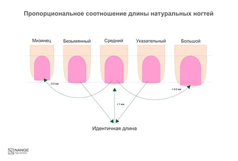 Основные принципы сохранения здоровья натуральных ногтей при удалении искусственного покрытия