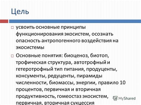 Основные принципы функционирования воздействия мыслительных образов
