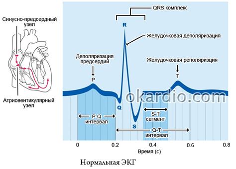 Основные причины нарушений реполяризации на ЭКГ