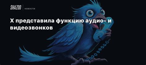 Основные функции аудио- и видеозвонков в социальной сети