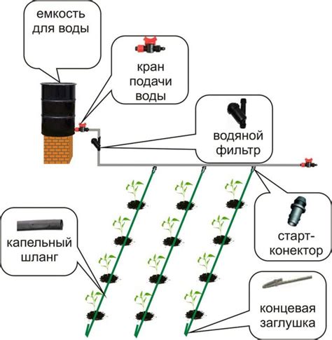 Основные элементы системы капельного орошения для выращивания фиалок