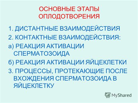 Основные этапы активации дубликата программы