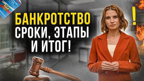 Основные этапы и полезные советы для успешного создания апидомика