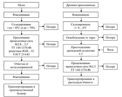 Основные этапы подготовки фруктов к экстрагированию сока